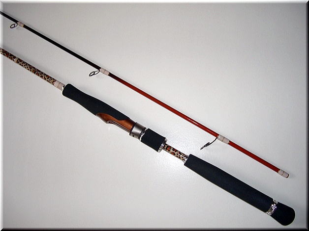 �����������������C���[�W