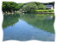 ○○○○○○○○イメージ